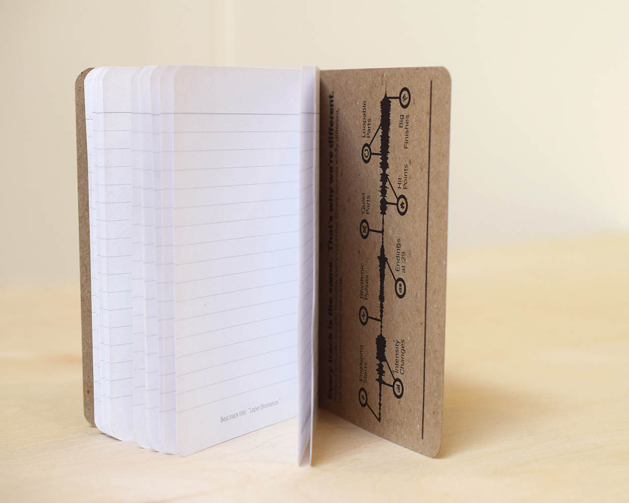 VideoHelper Scout Books