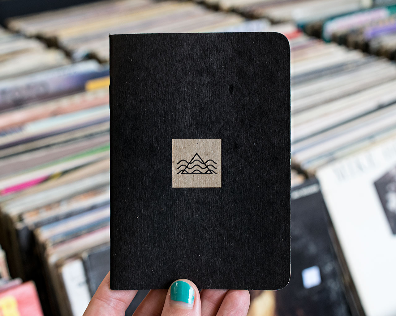 Marmoset Scout Books