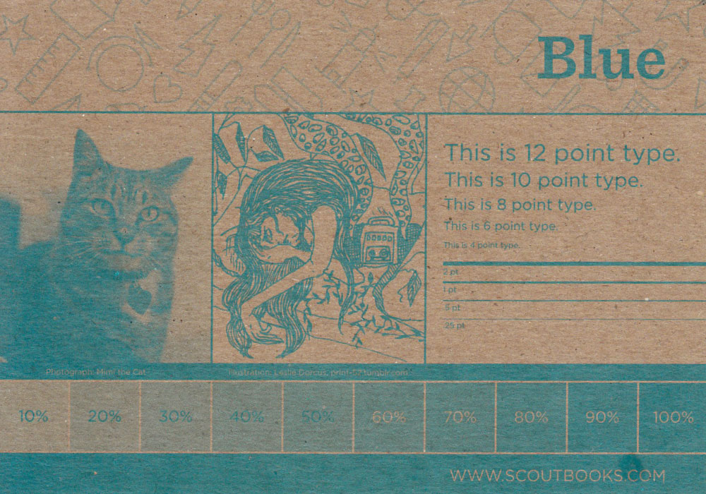 Scout Books Ink Guide Blue