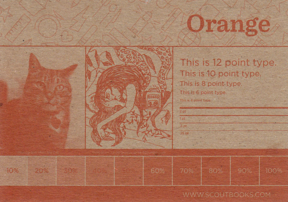 Scout Books Ink Guide Orange