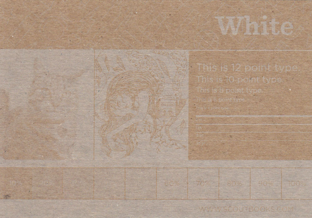 Scout Books Ink Guide White