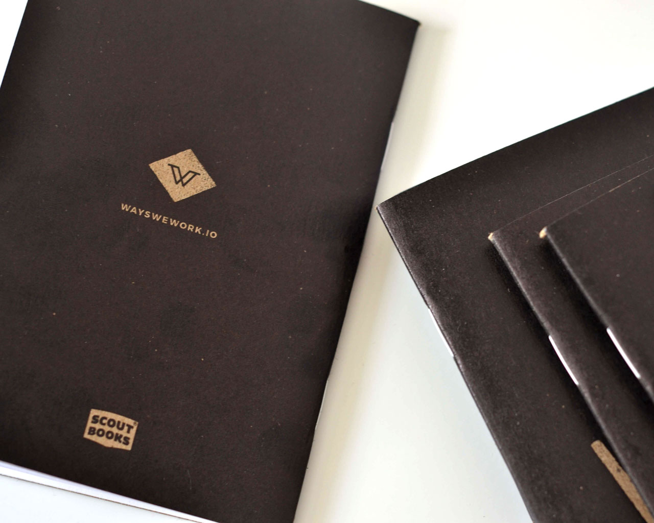 Ways We Work Scout Books