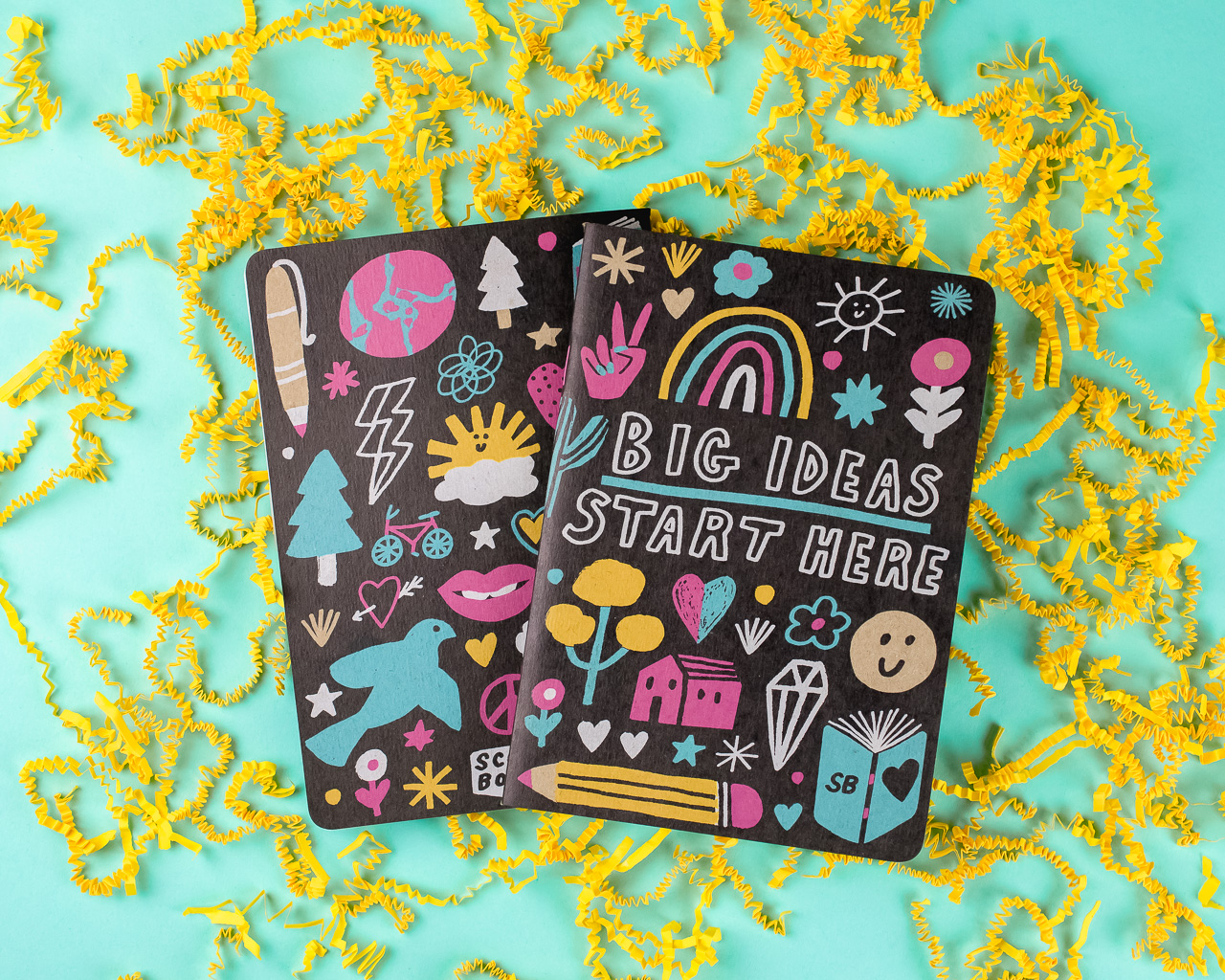 Big Ideas - Scout Books