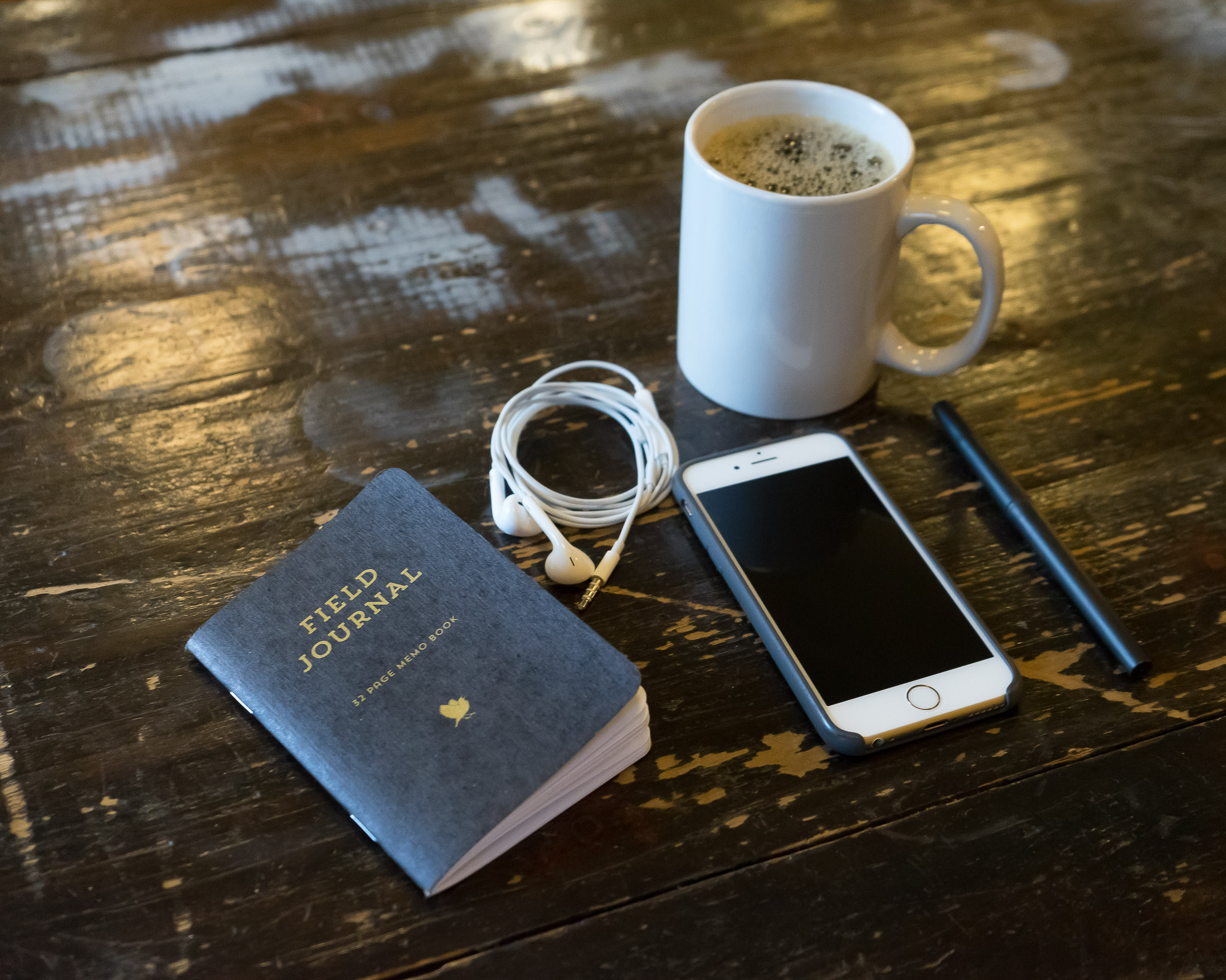 Lark Field Journal - Scout Books