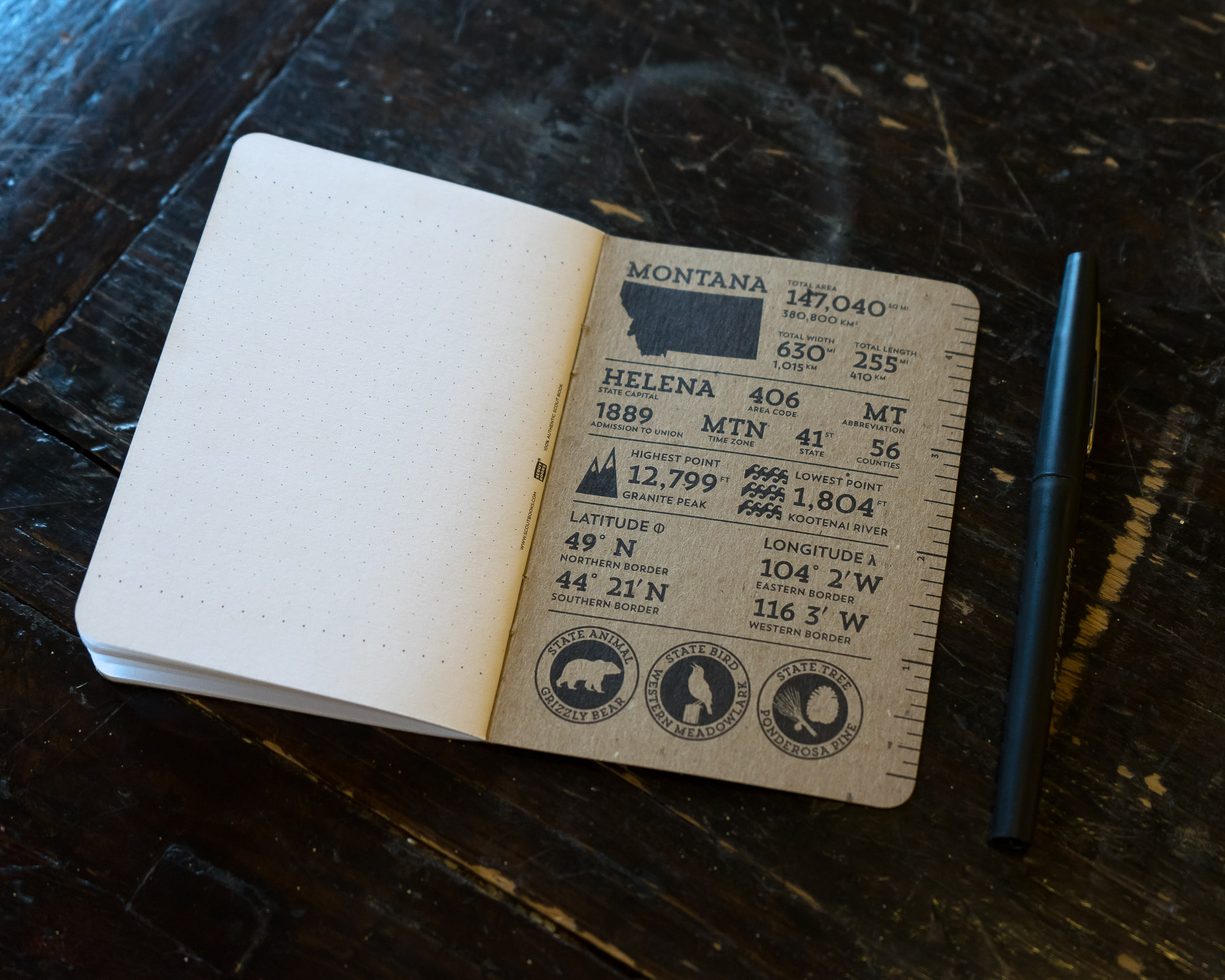 Lark Field Journal - Scout Books