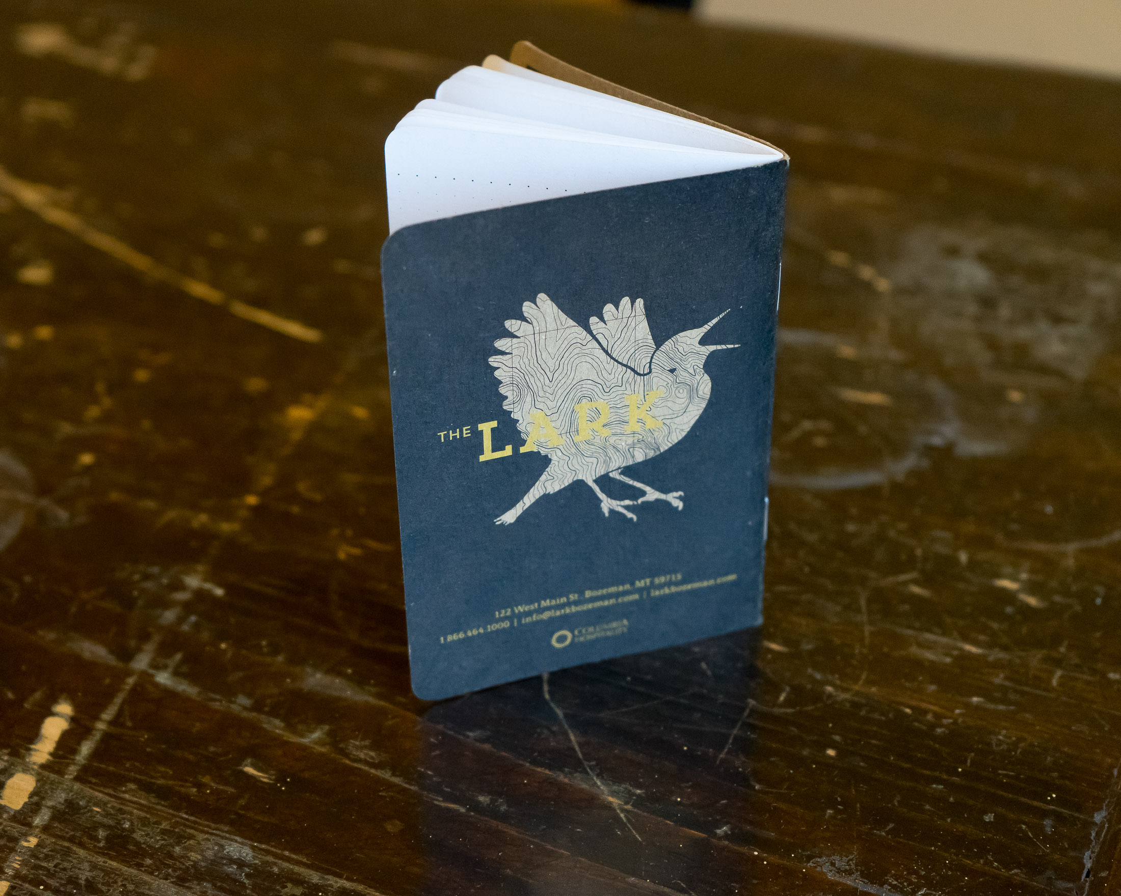 Lark Field Journal - Scout Books