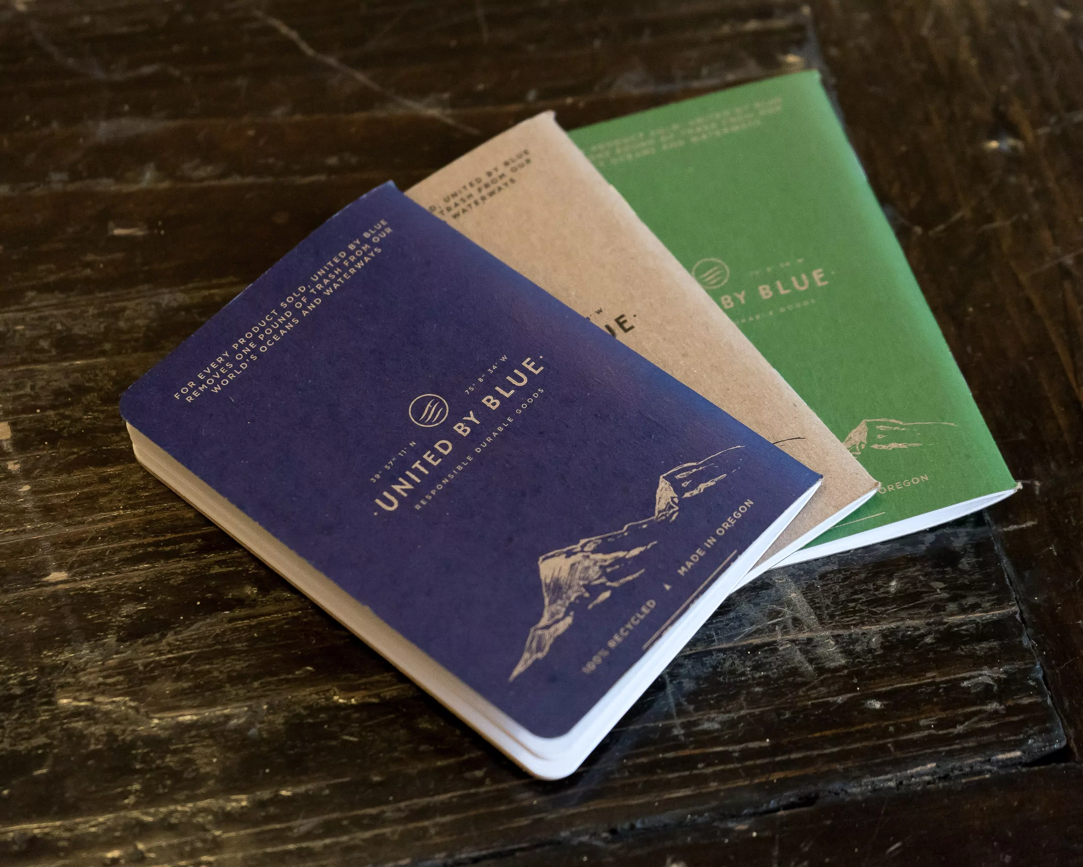 United By Blue Scout Books