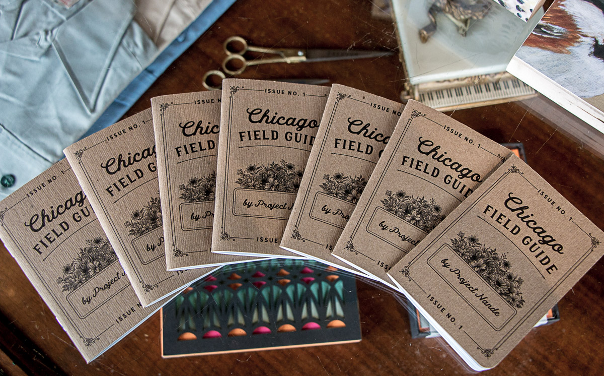 Chicago Field Guide Project Nande - Scout Books