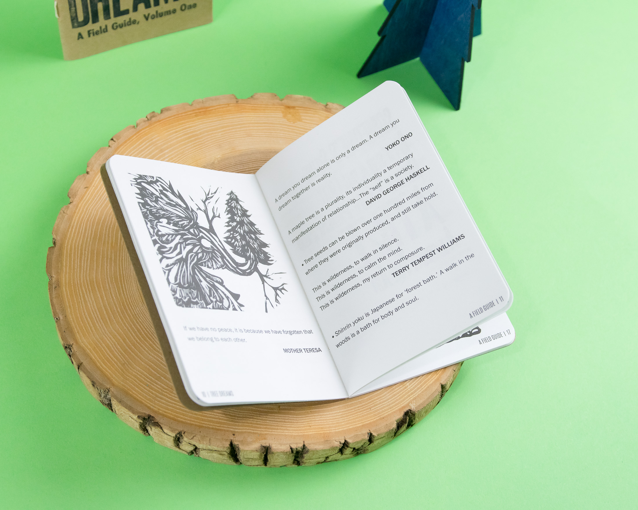 Tree Dreams Field Guide - Scout Books