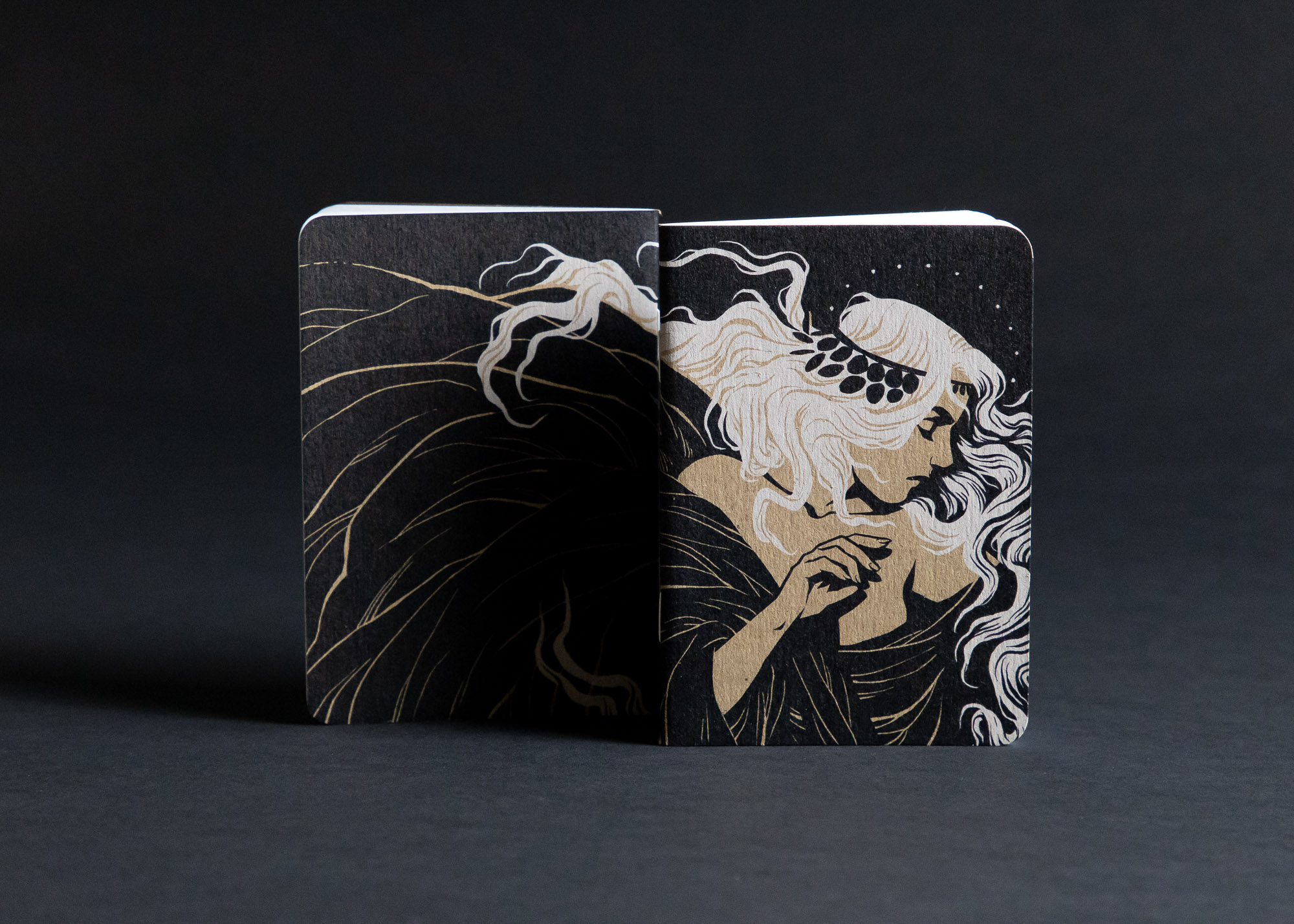 Becky Cloonan Dream Journal - Scout Books-7560