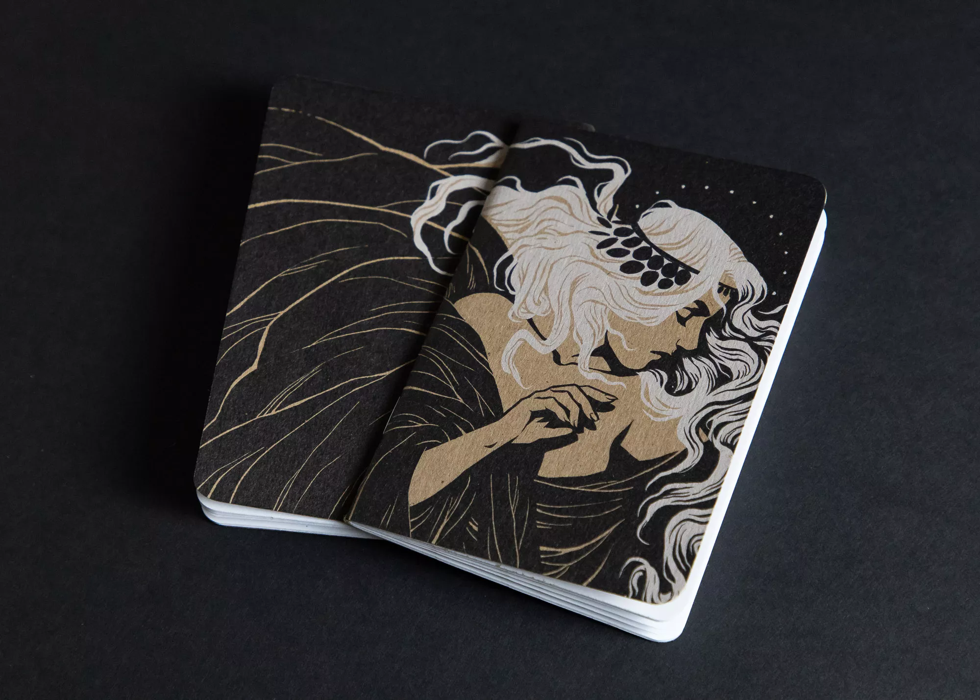 Becky Cloonan Dream Journal - Scout Books-7560