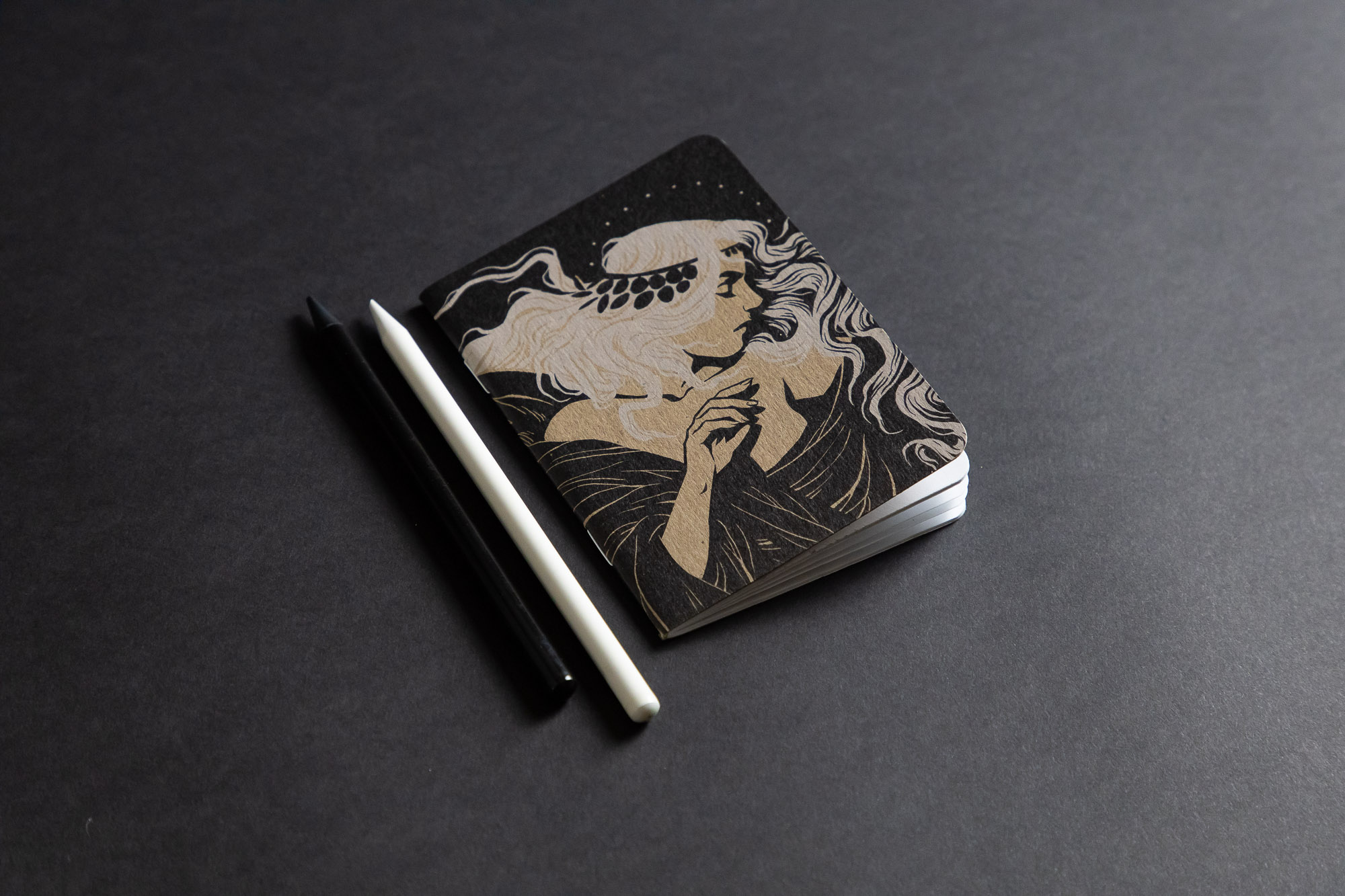 Becky Cloonan Dream Journal - Scout Books-7560