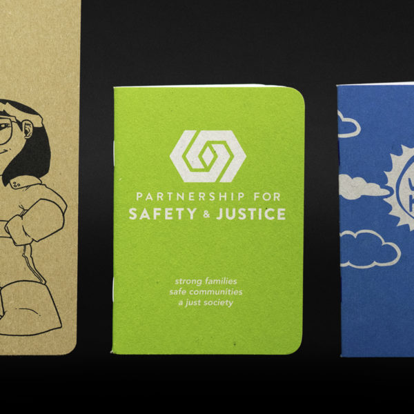 SBEA - Partnership For Safety and Justice - 2020